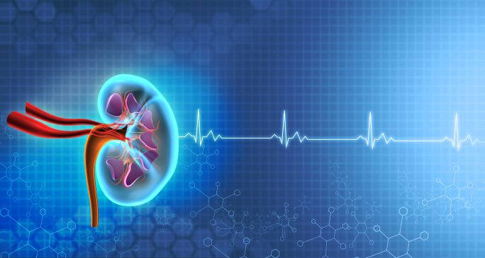 Advances in Nephrology & Kidney Transplantation 2025 Banner